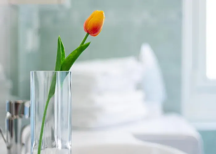 Apartment Piazza Chiappa